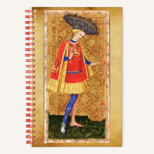 CARNET PAGE DE TAROTS ANCIENS ET CHEVALIER DES COUPES