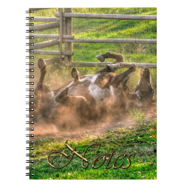 Carnet Paint Horse Rolling en Poussière Funny Equine Phot (Devant)