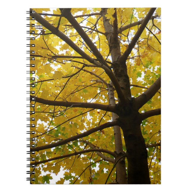Carnet Paire d'érables jaunes Nature d'automne (Devant)
