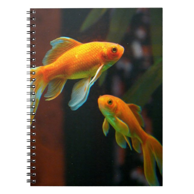 Carnet Paires du poisson rouge chanceux (Devant)