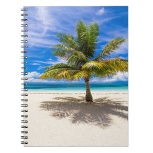 Carnet Palm sur la plage de sable blanc