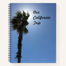 Palmier de Californie
