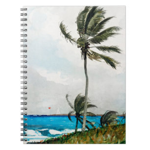 Carnet Palmier, Nassau (1898) par Winslow Homer