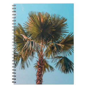 Carnet Palmier vert