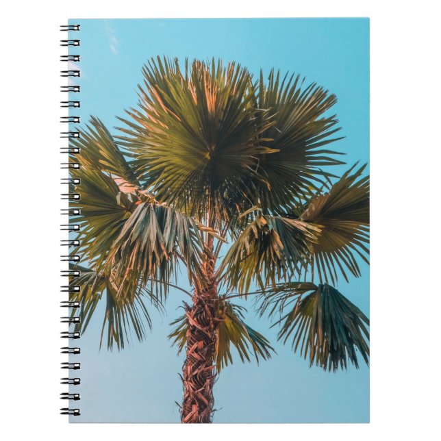 Carnet Palmier vert (Devant)