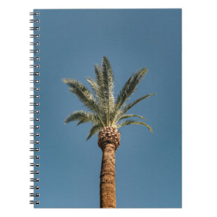 Carnet Palmier vert sous ciel bleu le matin