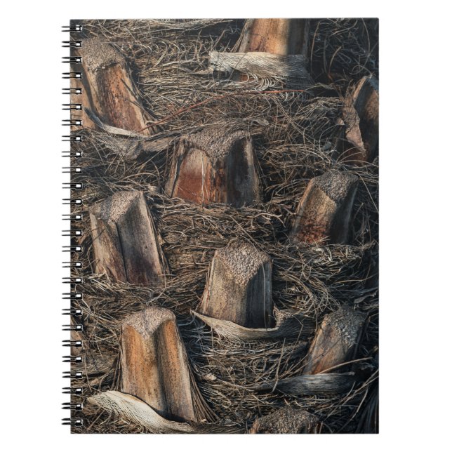 Carnet Palmiers (Devant)