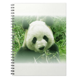 Carnet Panda