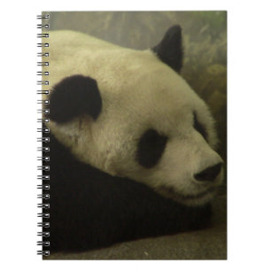 Carnet Panda