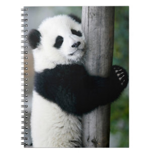 Carnet Panda étreignant le courrier