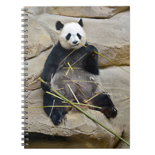 Carnet Panda géant mangeant du bambou