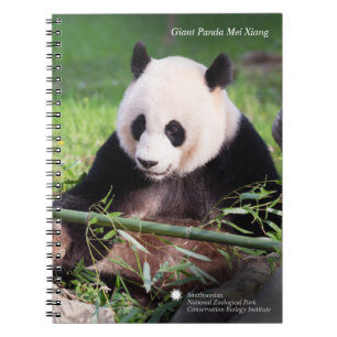 Carnet Panda géant Mei Xiang