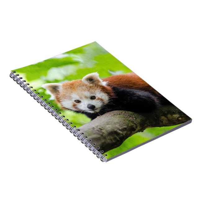 Carnet Panda rouge (Côté Droit)