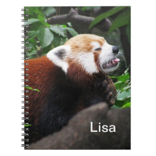 Carnet Panda rouge collant sa langue