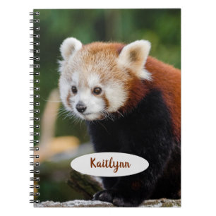 Carnet Panda roux personnalisé