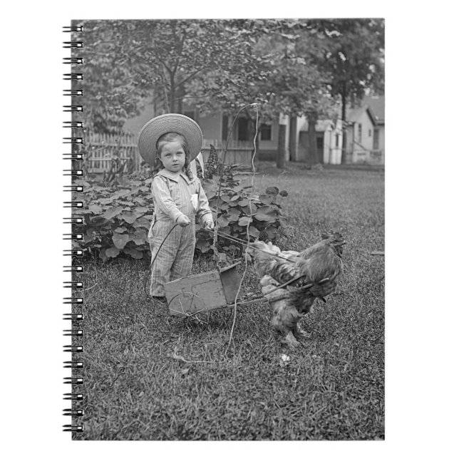 Carnet Panier à coq adorable des années 1880 dans le jard (Devant)