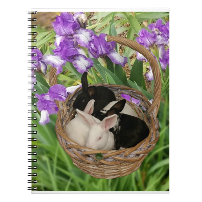 Carnet Panier adorable de lapins (Devant)