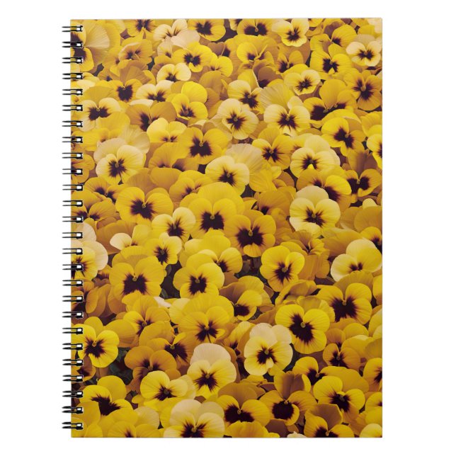 Carnet Pansies jaunes (Devant)