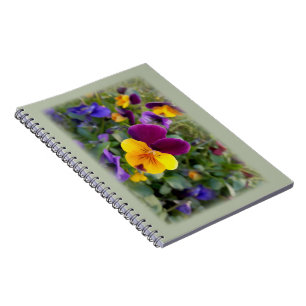 Carnet Pansies lumineuses