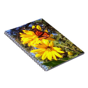 Carnet papillon