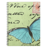 Papillon à ailes bleues sur carte postale Turquois