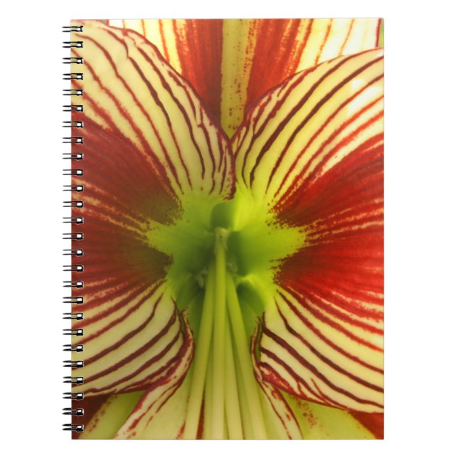 Carnet Papillon Amaryllis (Devant)