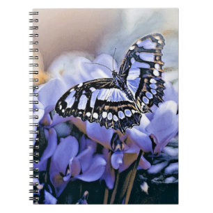 Carnet Papillon bleu