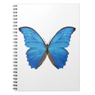 Carnet Papillon bleu de Morpho