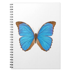 Carnet Papillon bleu de Morpho (Menelaus Morpho bleu,