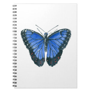 Carnet Papillon bleu Morpho aquarelle peinture