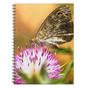 Carnet Papillon Brown Mur Lasiommata megera Peinture