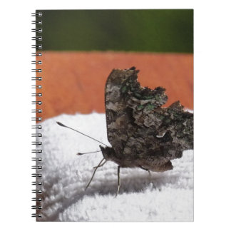 Carnet Papillon camouflage foncé