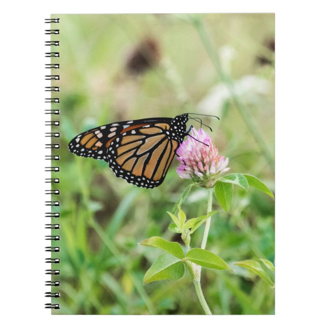Carnet Papillon de monarque (Devant)