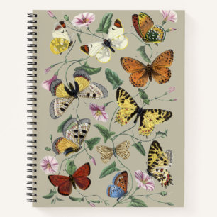 Carnet Papillon de nuit vintage 1842 Art botanique floral