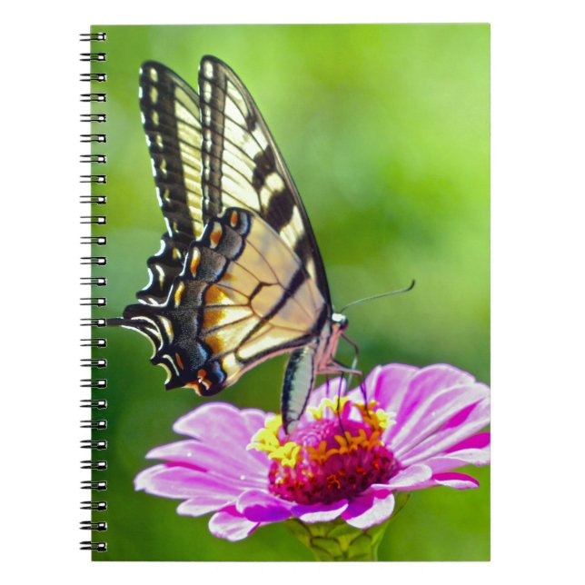 Carnet Papillon de queue de tigre (Devant)