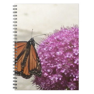 Carnet Papillon et oignon géant