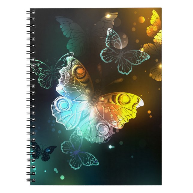 Carnet Papillon lumineux et papillons de nuit (Devant)