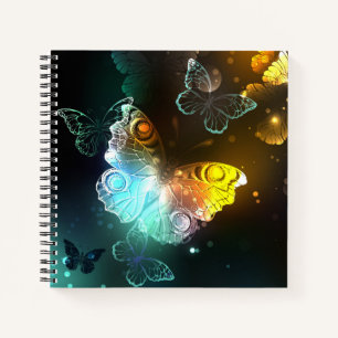 Carnet Papillon lumineux et papillons de nuit