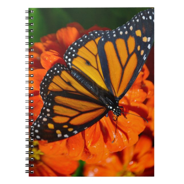 Carnet Papillon monarque (Devant)