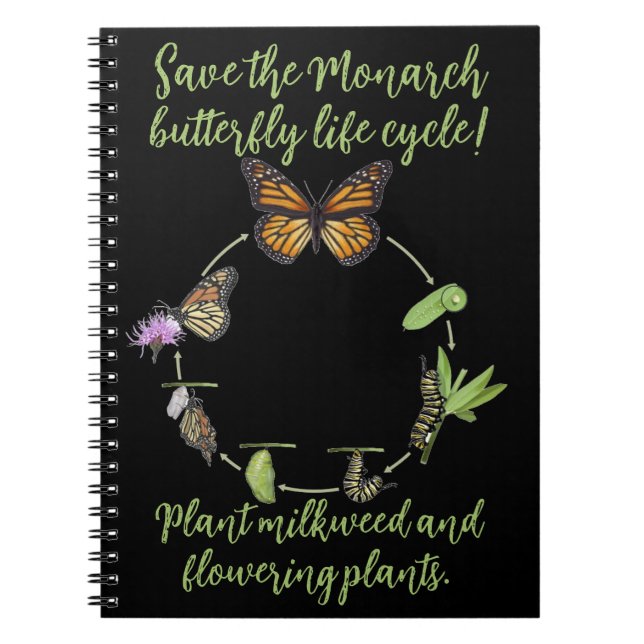 Carnet Papillon monarque (Devant)