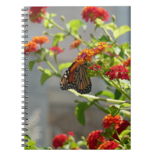 Carnet Papillon monarque sur le papillon rouge Bush