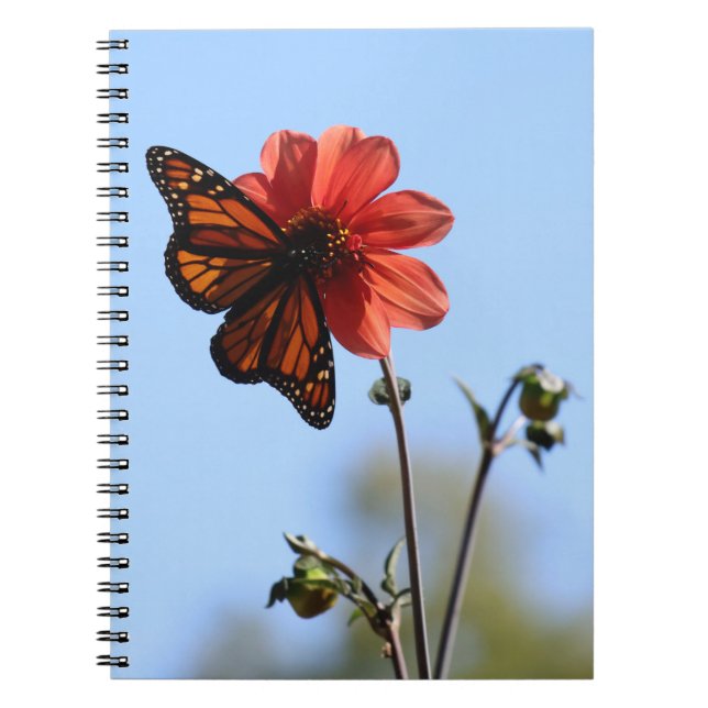 Carnet Papillon monarque sur une Dahlia (Devant)