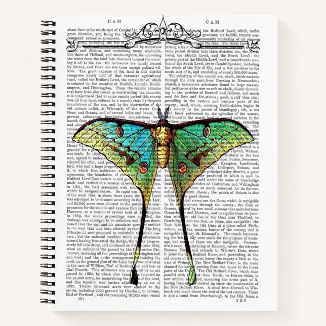 Carnet Papillon vibrant (Devant)