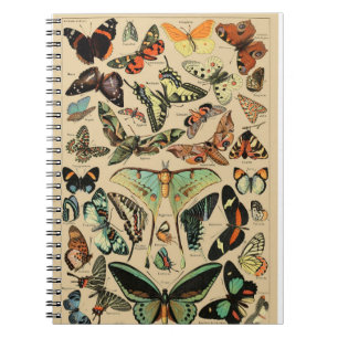 Carnet papillon vintage/papillons