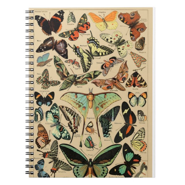 Carnet papillon vintage/papillons (Devant)