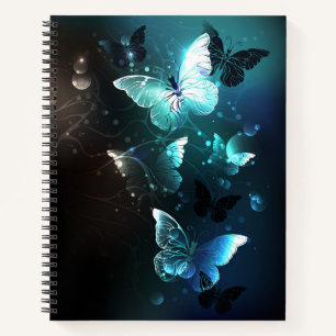 Carnet Papillons de nuit