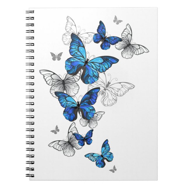 Carnet Papillons volants bleus Morpho (Devant)