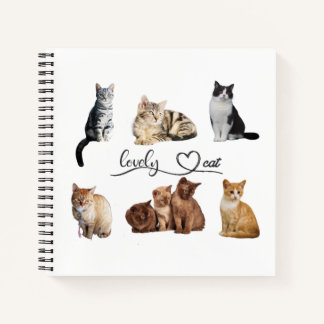 Carnet paquet de chats, paquet de chats amusants