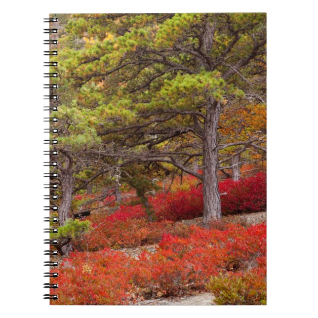 Carnet Parc national de l'Acadie, Maine (Devant)