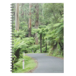 Carnet Parc national de Tarra Bulga, chaînes de